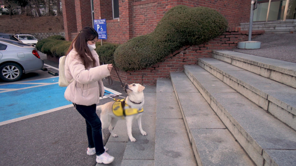 ▲'다큐 잇it'(사진제공=EBS1)