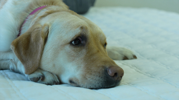 ▲'다큐 잇it'(사진제공=EBS1)