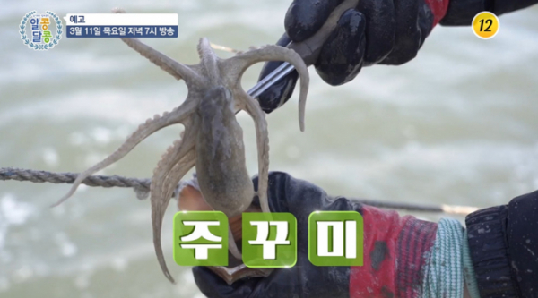 ▲'알콩달콩' (사진제공=TV CHOSUN)