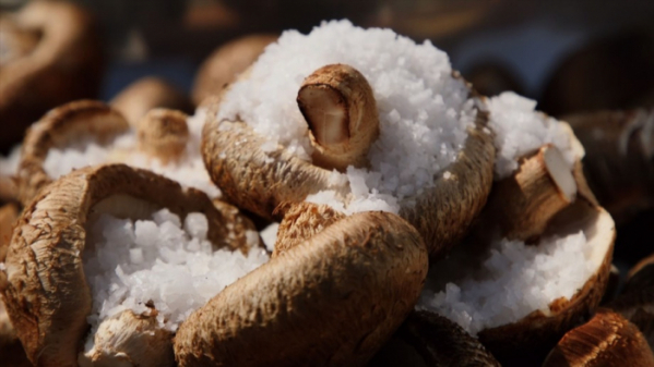 ▲'한국인의 밥상'(사진제공=KBS 1TV)