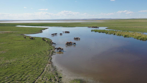 ▲'세계테마기행'(사진제공=EBS1)