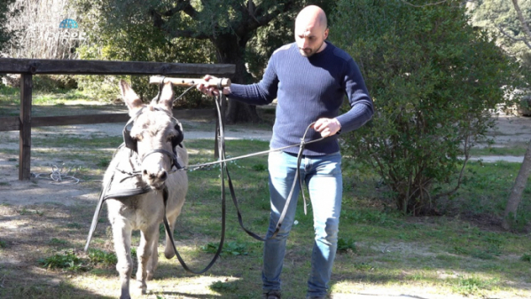 ▲'걸어서 세계속으로'(사진제공=KBS 1TV)