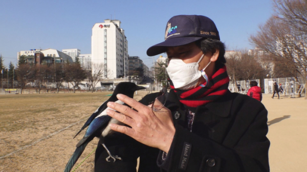 ▲'TV동물농장'(사진제공=SBS)