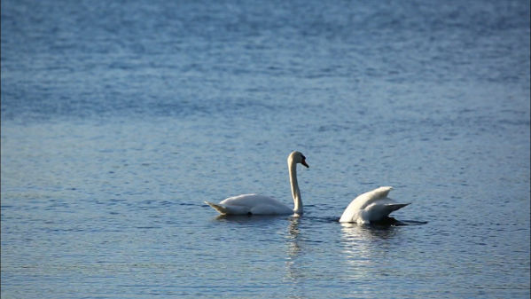 ▲'세계테마기행'(사진제공=EBS1)