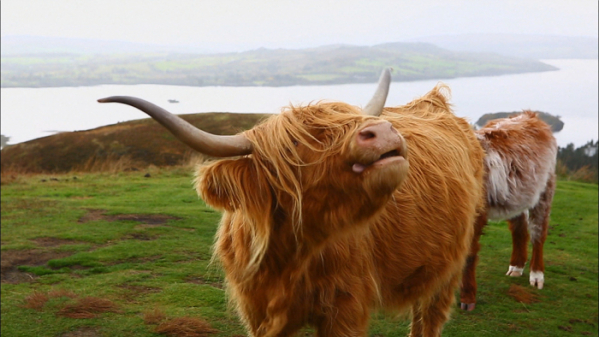 ▲'세계테마기행'(사진제공=EBS1)