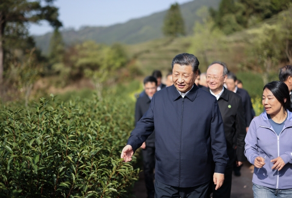 ▲시진핑 중국 국가 주석이 22일(현지시간) 푸젠성 난핑시 차 농원을 방문해 차밭을 둘러 보고 있다. 난핑/신화연합뉴스(210322) 
