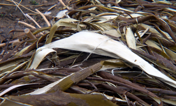 ▲'극한직업' (사진제공=EBS1)