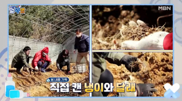 ▲'알약방' 남능미(사진제공=MBN)