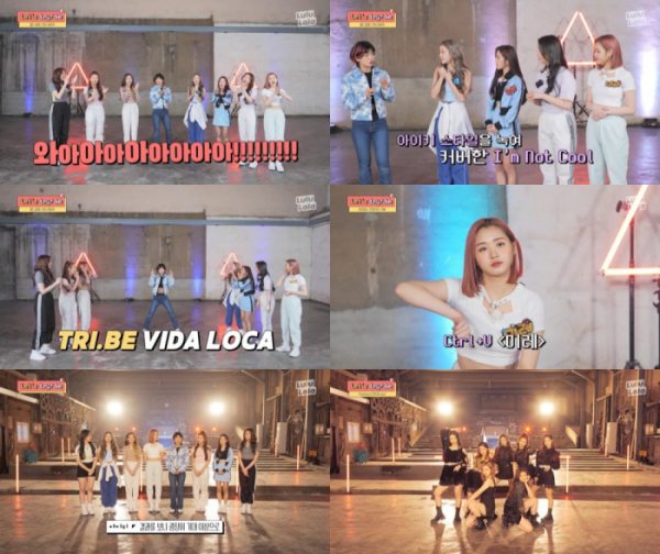 ▲트라이비(사진 = 스튜디오 룰루랄라 '렛츠 트라이비' 9화 캡처)