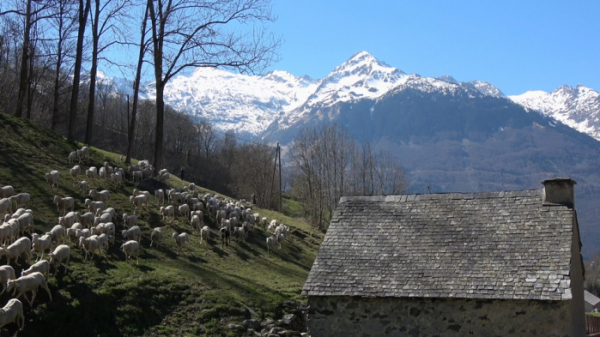 ▲'걸어서 세계속으로'(사진제공=KBS 1TV)