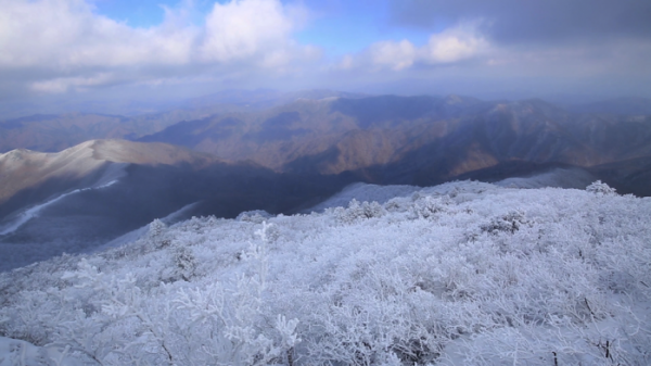 ▲'김영철의 동네 한 바퀴'(사진제공=KBS 1TV)