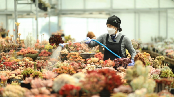 ▲'김영철의 동네 한 바퀴'(사진제공=KBS 1TV)