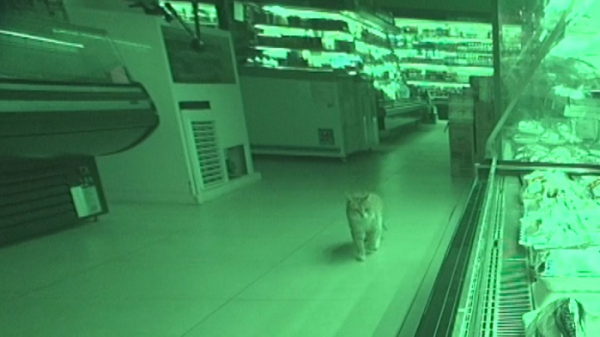 ▲‘TV 동물농장’(사진제공=SBS)