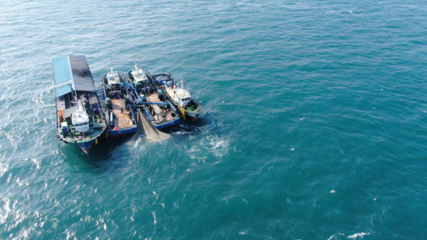 ▲‘바닷가 사람들’ 남해 멸치(사진제공=EBS1)