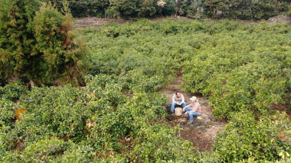 ▲'한국기행'(사진제공=EBS1)