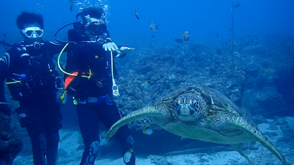 ▲'세계테마기행'(사진제공=EBS1)