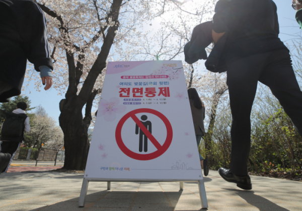 ▲30일 오후 서울 국회의사당 뒤편 여의서로에 벚꽃길 통제를 안내하는 입간판이 놓여있다. (연합뉴스)