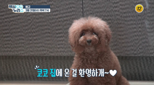 ▲'백세누리쇼'(사진제공=TV조선)