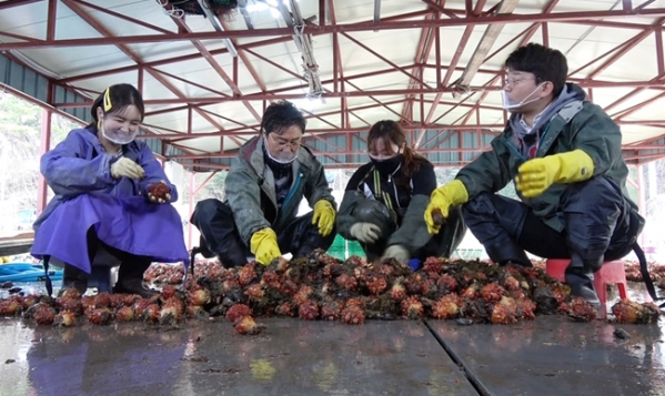 ▲‘소문난 님과 함께’(사진제공=MBN)