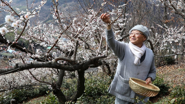 ▲'한국기행'(사진제공=EBS1)