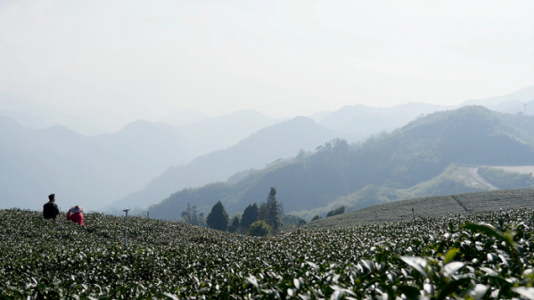 ▲'세계테마기행' 타이완(사진제공=EBS1)