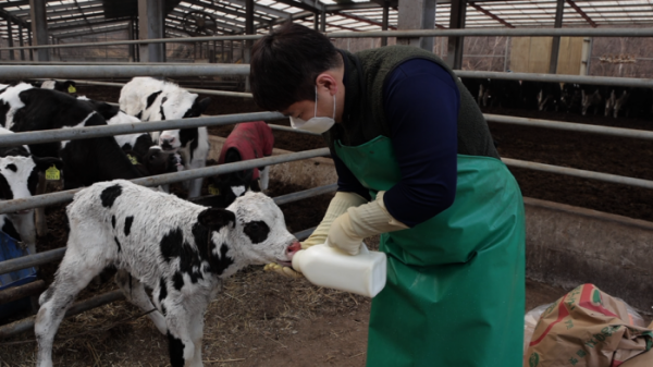 ▲'한국인의 밥상'(사진제공=KBS 1TV)