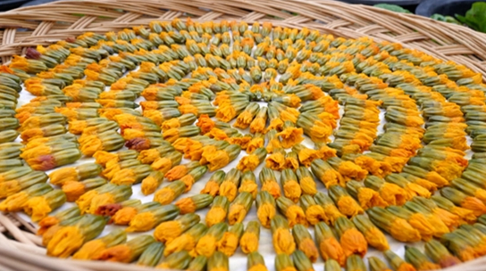 ▲'다큐프라임'(사진제공=MBC)