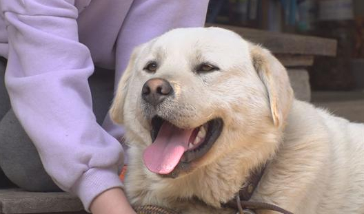 ▲'TV 동물농장'(사진제공=SBS)