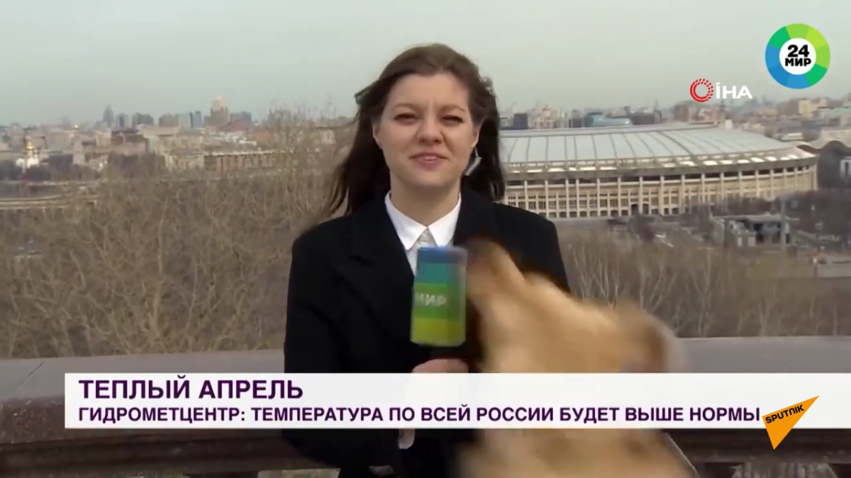 (출처=유튜브 'Sputnik Türkiye' 캡처)