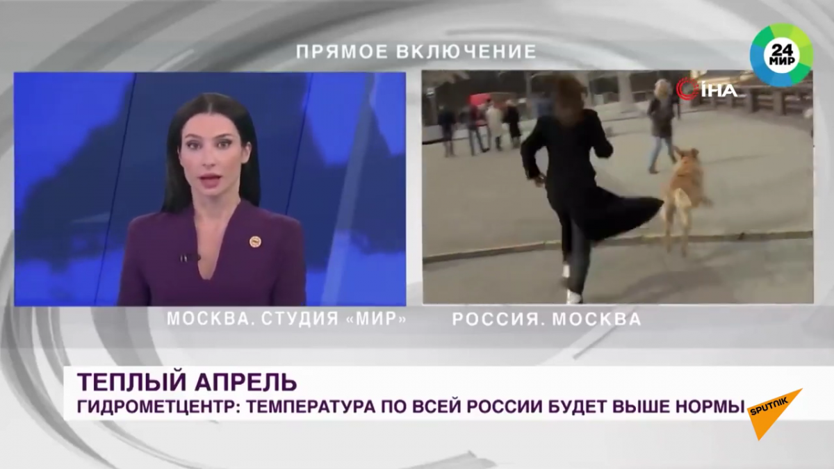 (출처=유튜브'Sputnik Türkiye' 캡처)