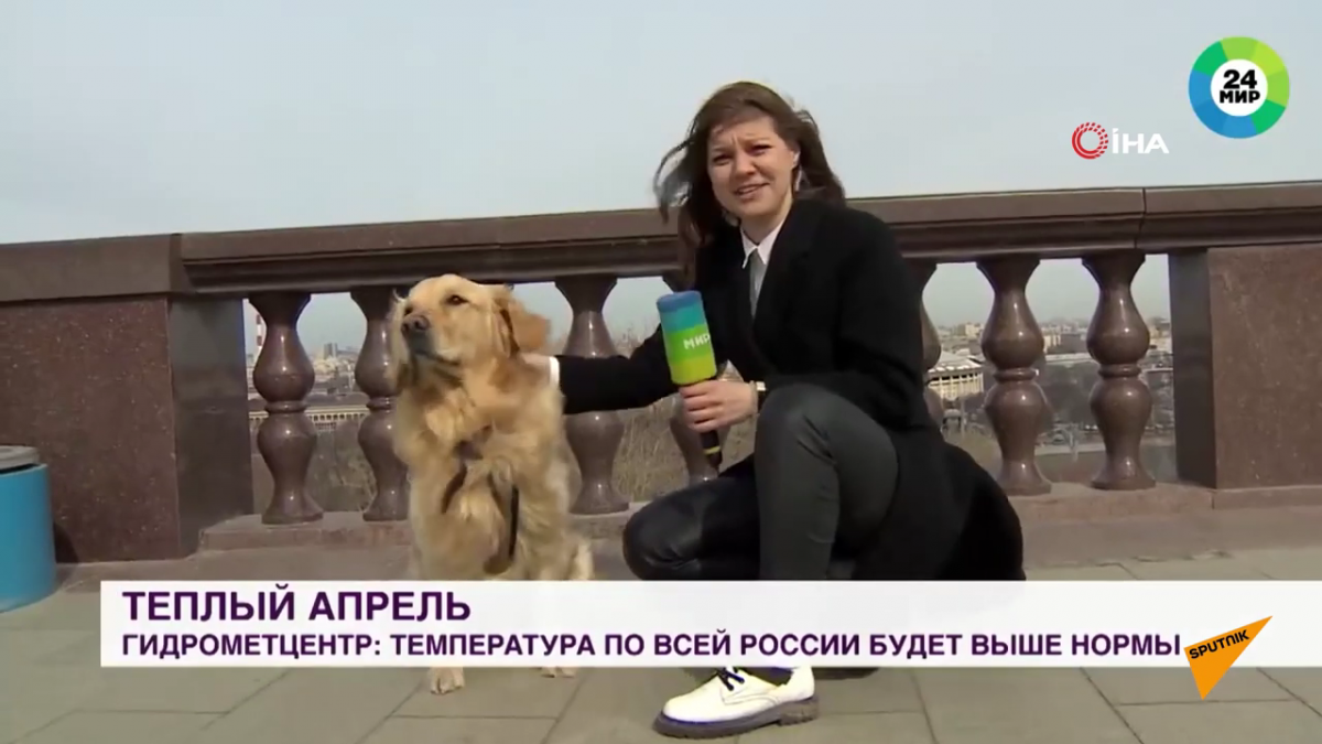 (출처=유튜브'Sputnik Türkiye' 캡처)