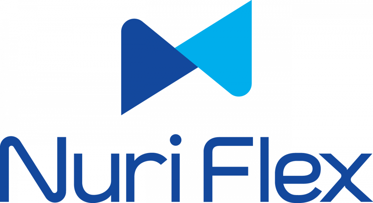 ▲누리플렉스 CI. (사진제공=누리플렉스)