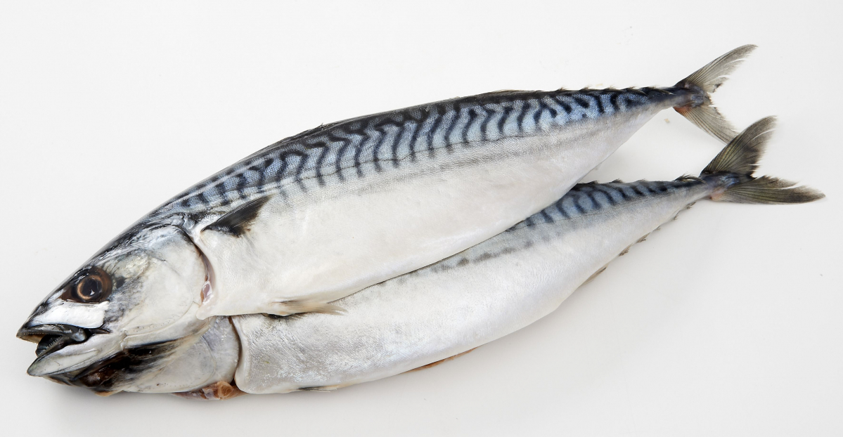 (사진제공=롯데쇼핑)