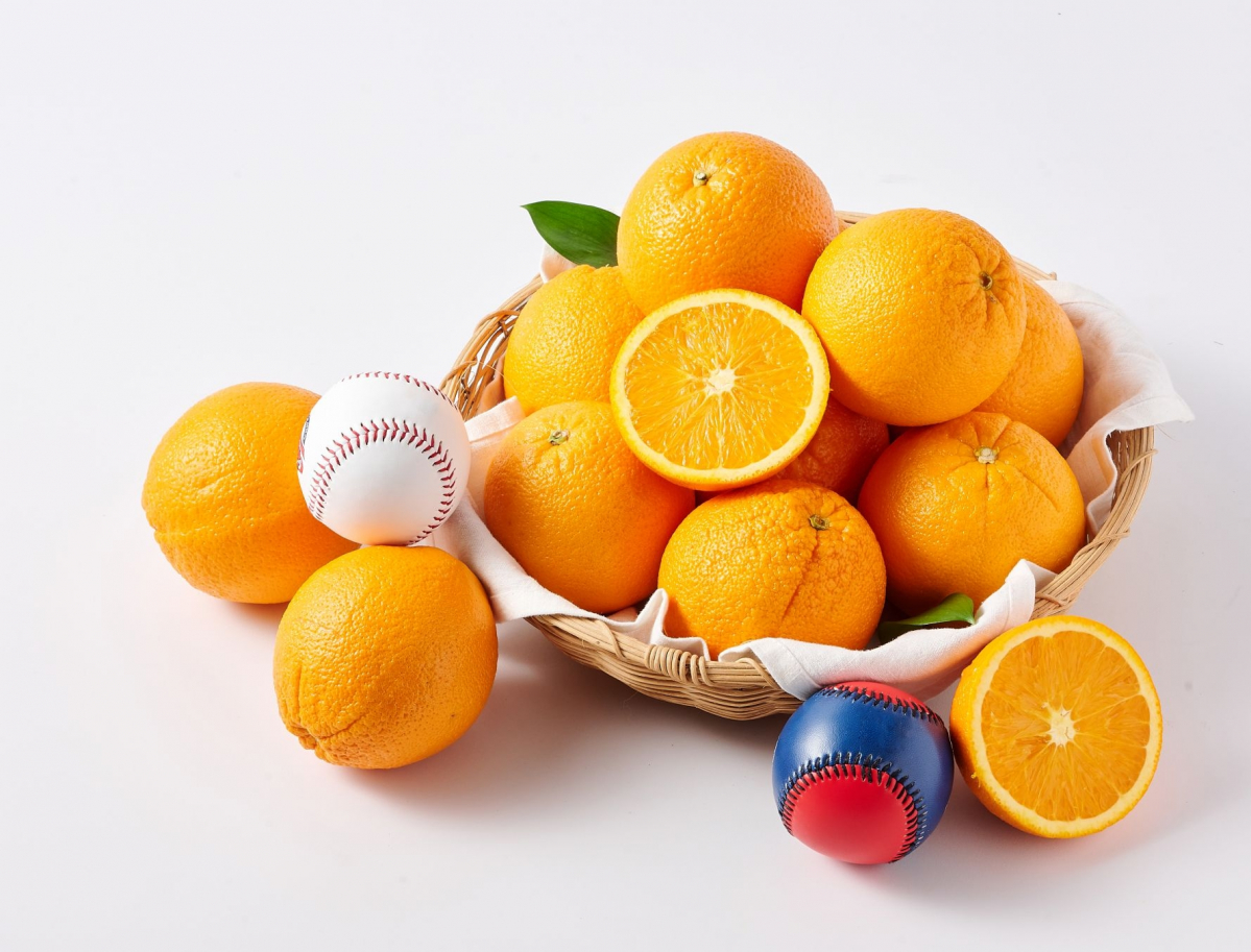 (사진제공=롯데쇼핑)