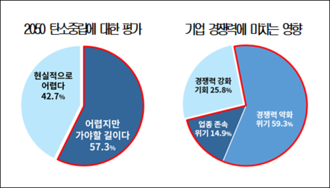 ▲2050 탄소중립에 대한 평가와 기업 경쟁력에 미치는 영향  (출처=대한상의)