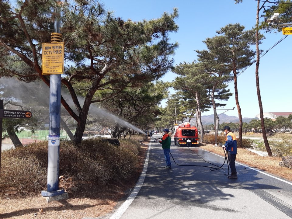 ▲매미나방(유충) 방제 작업. (사진제공=산림청)