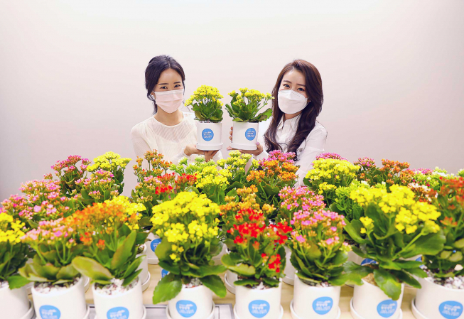 ▲동양생명이 20일 창립기념일을 맞아 지역사회 독거노인을 위해 꽃화분을 심어 전달하는 ‘화(花)를 품은 봄날’ 행사를 진행했다. (사진제공=동양생명)