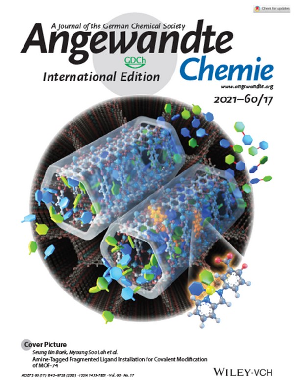 ▲앙게반테케미(Angewandte Chemie) 표지 그림. (사진제공=울산과학기술원)