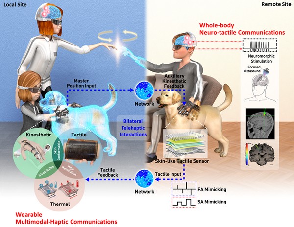 ▲착용형, 피부 부착형, 신경 햅틱 인터페이스를 통한 텔레햅틱 모식도. (사진제공=한국전자통신연구원전)