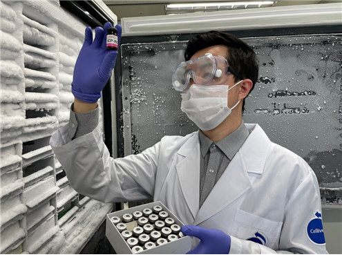 ▲셀리버리 연구자가 생산된 코로나19 면역치료제 iCP-NI를 검수하고 있다. (사진제공=셀리버리)