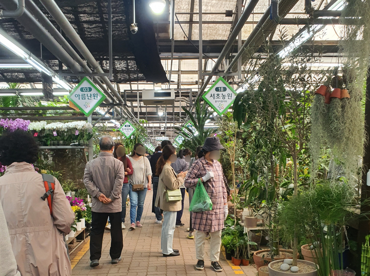 ▲25일 서울시 서초구 양재동에 위치한 분화점포 가동에 식물을 사거나 구경하러 온 사람들이 붐빈다.  (이다원 기자 leedw@)