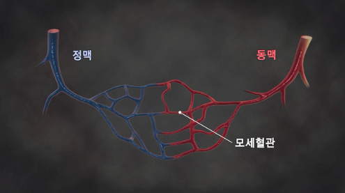 ▲'명의' (사진제공=EBS1)