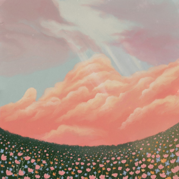 ▲콜드(사진 = WAVY(웨이비) 제공)