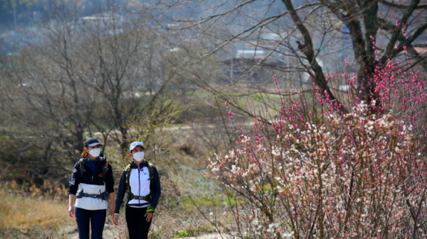 ▲'영상앨범 산'(사진제공=KBS 2TV)