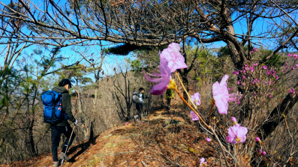 ▲'영상앨범 산'(사진제공=KBS 2TV)