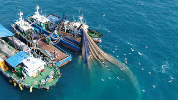 ▲'바닷가 사람들' 남해 봄 멸치잡이(사진제공=EBS1)