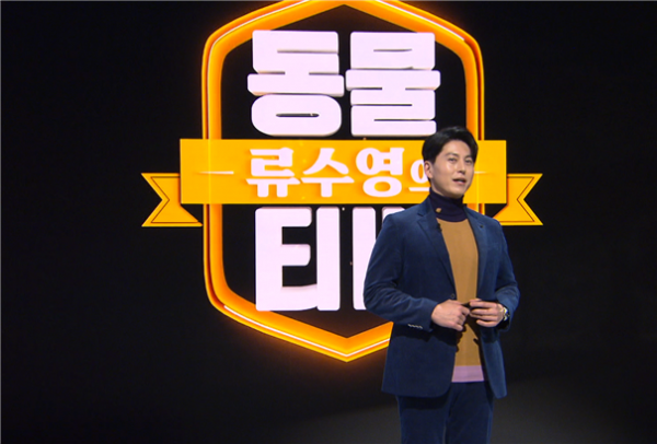 ▲'류수영의 동물티비'(사진제공=KBS2)