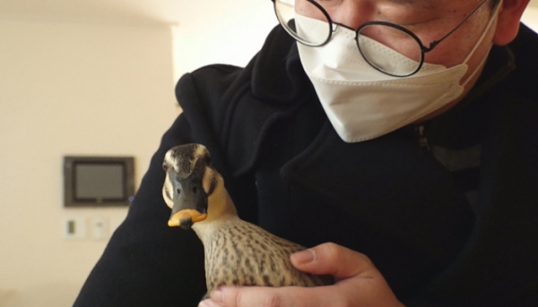 ▲'TV동물농장'(사진제공=SBS)