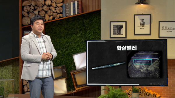 ▲박숭현 박사(사진제공=KBS)