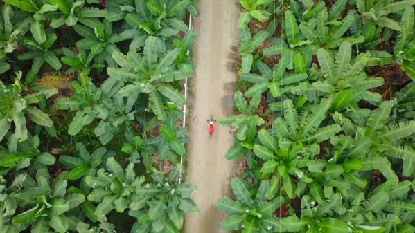 ▲'세계테마기행' 에콰도르(사진제공=EBS1)